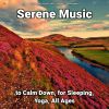 Download track Healing Ambient Music For A Relaxing Atmosphere