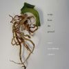 Download track Common Language