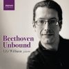 Download track 108 - 33 Variations In C Major On A Waltz By Diabelli, Op. 120, ''Diabelli Variations'' - Variation 7. Un Poco Più Allegro
