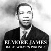 Download track Elmore's Contribution To Jazz