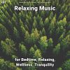 Download track Calm Music To Help Babies Sleep
