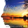 Download track Sibelius: Valse Triste, Op. 44