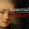 Download track Concerto For Horn No. 1 In D Major K412: II. Rondo Allegro