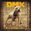 Download track Dog Intro