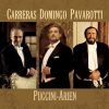 Download track Turandot: Act III - Nessun Dorma (Vocal)