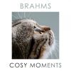 Download track Variations On A Theme By Paganini, Op. 35 / Book 1: Variation IV