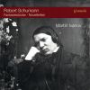 Download track Novelletten, Op. 21 No. 3, Leicht Und Mit Humor