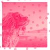 Download track Background For Resting Dogs