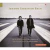 Download track 5. Sonata For Viola Da Gamba Harpsichord No. 2 In G Major BWV 1028: Adagio