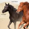 Download track A Good Place