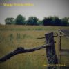 Download track Not A Test