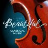 Download track Adagio In G Minor For Strings And Organ 