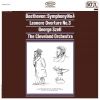 Download track III. Menuetto. Allegro Vivace - Trio. Un Poco Meno Allegro