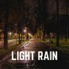 Download track Knowingly Rain