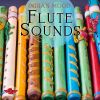 Download track Native Flute Song