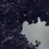 Download track Polaris