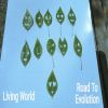 Download track Black Spot