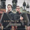 Download track Franz Schubert – Ave Maria Op. 52 Nr. 6 (D. 839)