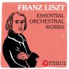 Download track Piano Concerto No. 2 In A Major, S. 125: II. Allegro Agitato Assai - Un Poco Più Mosso - Tempo Del Andante