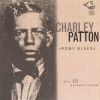 Download track A Spoonful Blues