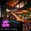 Download track Subtle Nighttime Contemplation