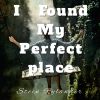 Download track I Found My Perfect Place