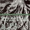 Download track Blues Before Sunrise / Dust My Broom / Highway 49