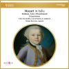 Download track Divertimento In B-Flat Major, KV. 186: I. Allegro Assai'