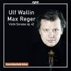 Download track 01. Violin Sonata In D Minor, Op. 42 No. 1 I. Allegro Energico