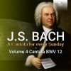 Download track Weinen, Klagen, Sorgen, Zagen, BWV 12: VII. Choral. Was Gott Tut, Das Ist Wohlgetan (Coro)