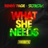 Download track What She Needs