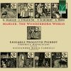 Download track Symphony No. 1 In D Major: II. Andante Allegretto. (