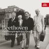 Download track String Quartet No. 13 In B-Flat Major, Op. 130 VI. Finale. Allegro
