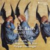 Download track 11. Bach Christen, Ätzet Diesen Tag, BWV 63 III. Aria Gott, Du Hast Es Wohl Gefüget