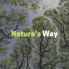 Download track 1 Hour Of Heavy Waterfalls, Pt. 13