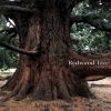 Download track I'm Still A Fool For You