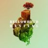 Download track Roseville Fair - Cowley Two Step