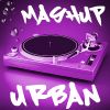 Download track Shut Up And Dance The Business (Collini Big Room Mashup) [Clean]