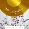 Download track What Can I Do With A Foolish Little Girl Like You