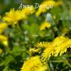 Download track As We