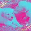 Download track Thrilling Moods For Dogs At Home Alone