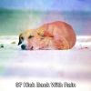 Download track Life In Bed