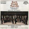 Download track A. Vivaldi, Concerto In D Major, Op. 3, RV 230 / II. Larghetto