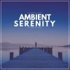 Download track Music For Removing Negative Thoughts