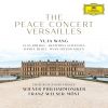 Download track 10.2. Allegro - Tempo I (Live At Versailles 2018)