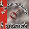 Download track Un Indio Quiere Llorar