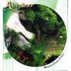 Download track Last Fallen Leaf