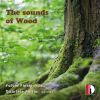 Download track Flute Sonata In G Minor, Op. 13 No. 6 (Attrib. A. Vivaldi) [Arr. For Flute & Marimba By Fulvio Fiorio & Gabriele Fiorio]: IV. Allegro Ma Non Presto