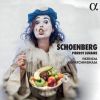 Download track Four Pieces For Violin And Piano, Op. 7 II. Rasch