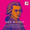 Download track 01. I. Allegro Moderato
